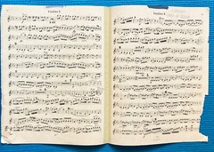 Mozart Piano Concerto No.24 c K.491 Arranged for Piano & Strings – String parts