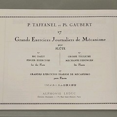 Exercices Journaliers for Flute by Marcel Moyse intermediate/ advanced flautist