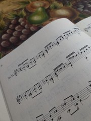 Mauro Giuliani 25 Etudes For Classical GuitarRare Book,Zen-On Series Jap Edition