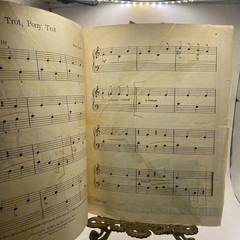 Vintage Willis Trot, Pony, Trot Beryl Joyner Piano Solo Sheet Music 1901 USA