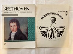 Lot Of 23 Vintage Sheet Music & Books Organ Piano Keyboard Guitar Collectible