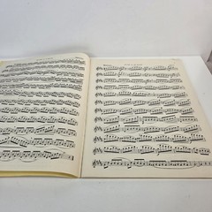 Melodious and Progressive Studies Book II Flute Sheet Music B 414 Cavally USA