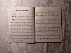 Old Fashion Sing Along Songbook Piano/ Vocal/ Organ/ Chord Arrangements 12 Songs