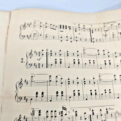 On the Beautiful Blue Danube Sheet Music Piano Johann Strauss Op 314 1901 Waltz
