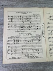 When You and I Were Seventeen Sheet Music P/V/G Irving Berlin 1924 Ukulele