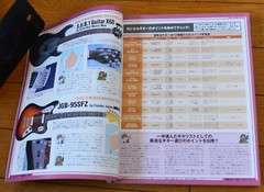 The Best Selection from Young Guitar Hardware Profile 2004 Book Japan