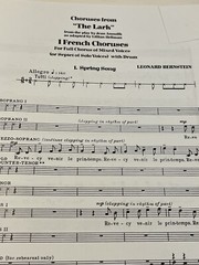 Choruses From The Lark Vintage Choral Music Book Religious a cappella