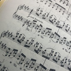 Vintage G Schirmer Chopin Etudes Complete Works Piano Score 1551 Yellow USA