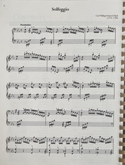 The Library of Piano Classics Vol 2 Sheet Music Book AMSCO Publications
