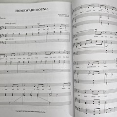 Folk Songs For Solo Singers Vol 1 Medium Low Songbook CD Alfred Music Book