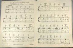 John Denver Songbook Aerie Guitar Piano Vocal 1970&rsquo;s Cherry Lane Music Co NY