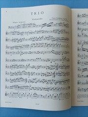Schubert Piano Trios Op. 99 & Op. 100 Parts for Piano, Violin and Cello