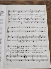 Which Way America? Words & Music By David B. Allen Arranged By Harry Simeone…