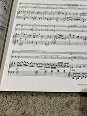 Vtg Great Piano Trios Music Book Joseph Haydn Piano/Violin/Cello Full Scores G26